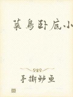 菜鸟卧底小正太