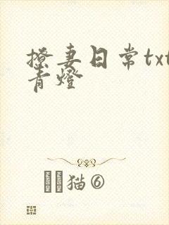 撩妻日常txt青灯