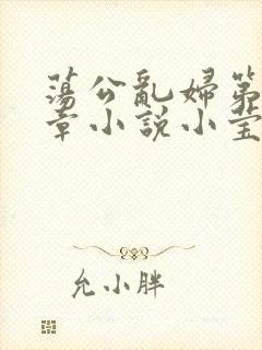 荡公乱妇第51章小说小莹