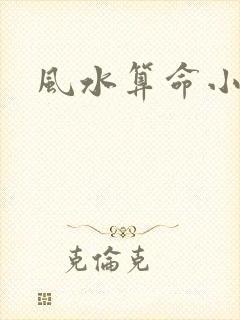 风水算命小说