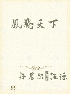 凤飞天下