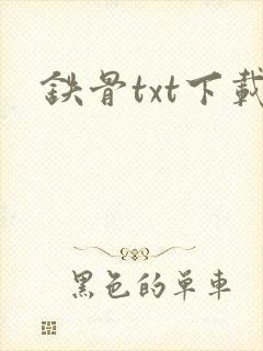 铁骨txt下载