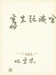 重生玩遍官场贵妇