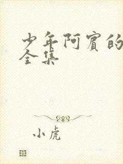 少年阿宾的故事全集