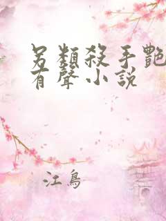 另类杀手艳福星有声小说