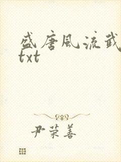 盛唐风流武状元txt