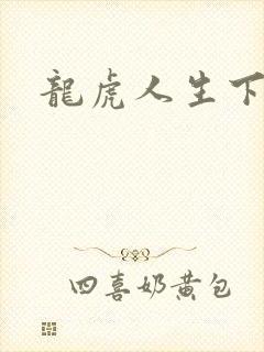 龙虎人生下载