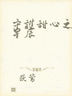 守护甜心之暗夜星辰