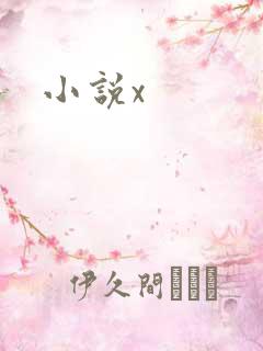 小说x