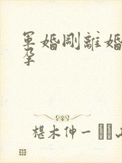 军婚刚离婚就怀孕