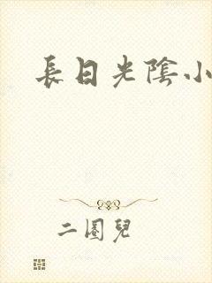 长日光阴小说