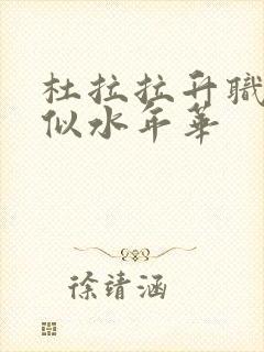 杜拉拉升职记之似水年华