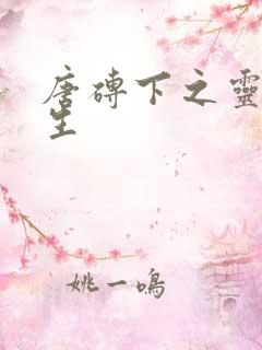 唐砖下之灵域双生