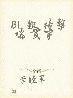 BL 粗 撞击 喘 贯穿