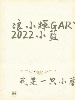 浪小辉GARY2022小蓝