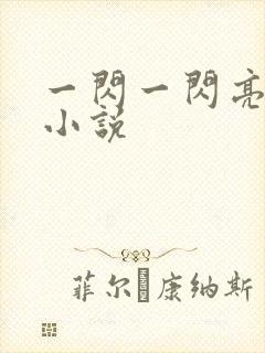 一闪一闪亮星星小说