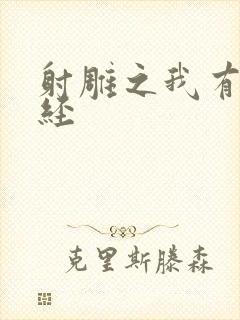 射雕之我有太玄经