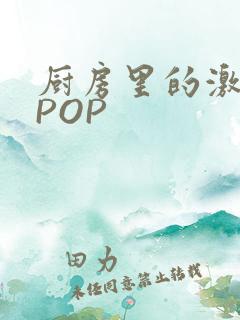 厨房里的激战2POP