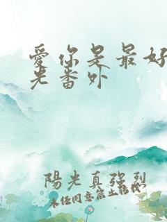 爱你是最好的时光番外