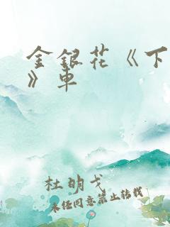 金银花《下厨房》车