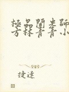 极品开光师李南方林青青小说叫