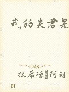 我的夫君是冥王