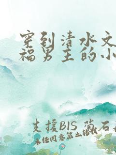 穿到清水文里造福男主的小说