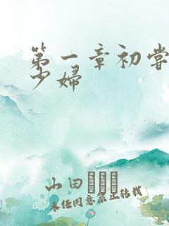 第一章初尝极品少妇