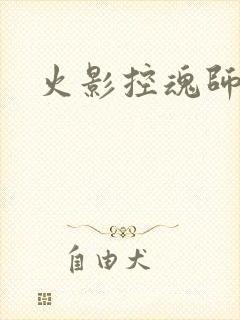 火影控魂师