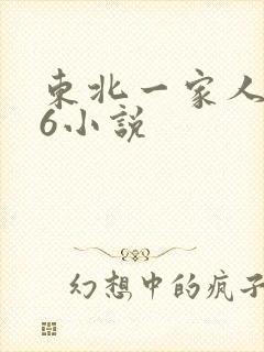 东北一家人1一6小说