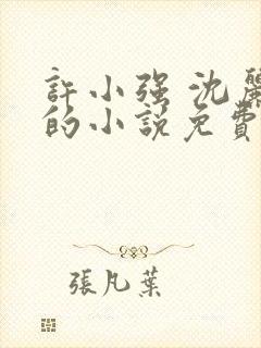 许小强 沈丽娟的小说免费阅读