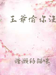 王爷偷你没商量