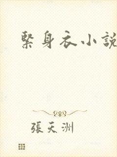 紧身衣小说
