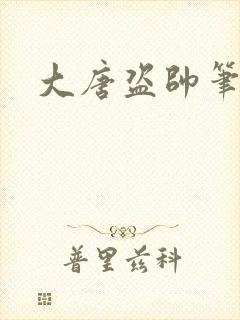 大唐盗帅笔趣阁