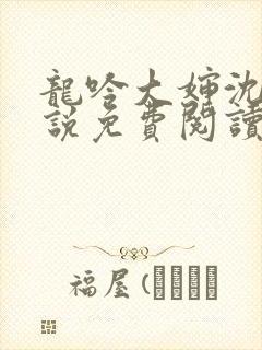 龙吟大婶沈浩小说免费阅读笔趣阁