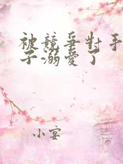 被竞争对手的王子溺爱了