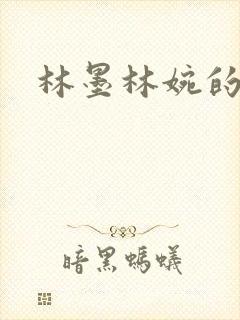 林墨林婉的小说
