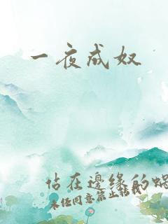 一夜成奴