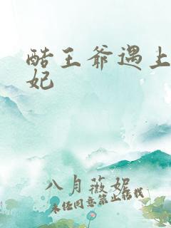 酷王爷遇上穿越妃