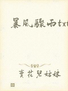 暴风骤雨txt