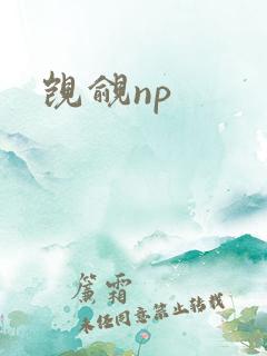 觊觎np