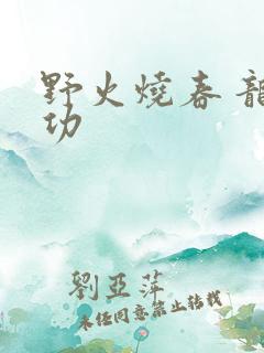 野火烧春 龙鸣功