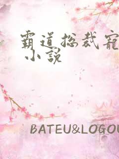 霸道总裁宠上天 小说