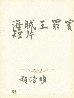 海贼王罗宾被h短片