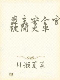 盟主安全官泰国被开火车