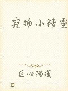 宠物小精灵之梦