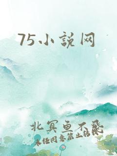 75小说网