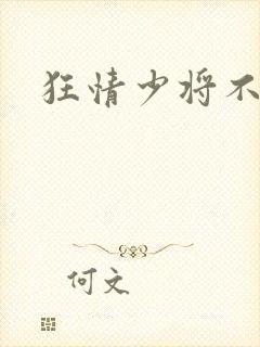 狂情少将不良妻