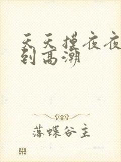 天天摸夜夜摸摸到高潮