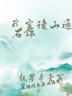 我家后山通仙界石锦